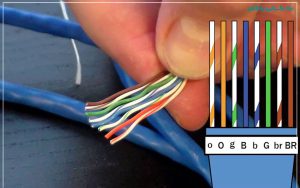 راهنمای خرید سوکت شبکه